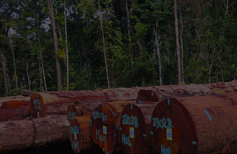 不朽情缘官网登录入口木业